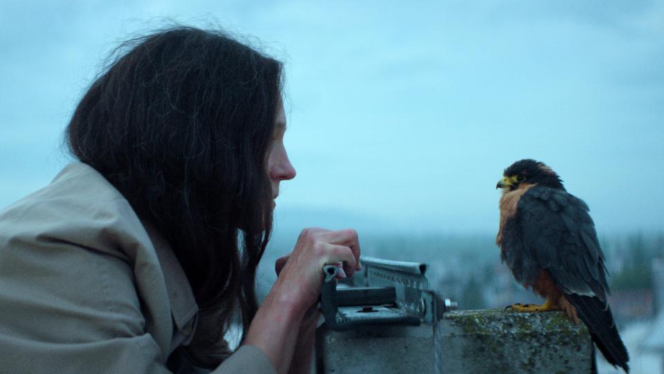 -Chaos-und-Stille-im-Kino-Eine-Frau-zieht-auf-s-Dach-und-Darmstadt-wird-still