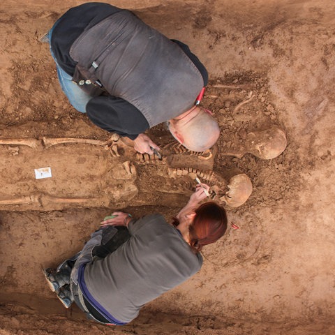 Ein Mann und eine Frau knien in einer mit Erde gefüllten Grube. Sie legen mit Pinseln ein menschliches Skelett frei, das vergraben war.
