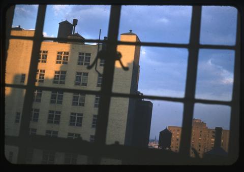 Fotografie: Blick aus einem Fenster auf ein Backstein-Gebäude.