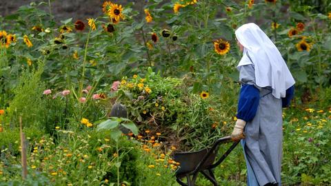 Eine Nonne schiebt einen Schubkarren durch einen blühenden Garten