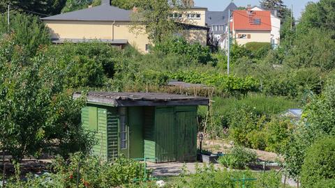 Gartenlaube von Architektin Margarete Schütte-Lihotzky in der Kleingartenanlage "Römerstadt II" 