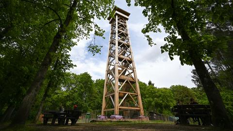 Das Bild zeigt einen hölzernen Aussichtsturm im Wald