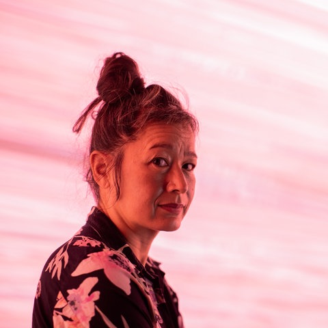 Hito Steyerl