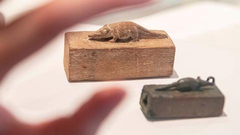 Ausstellungsansicht Humanimal im Museum für Kommunikation Frankfurt: zwei kleine Särge aus Bronze mit Spitzmäusen darauf