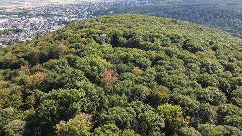 Blick aus der Vogelperspektive auf einen bewaldeten Hügel, darauf ein Turm
