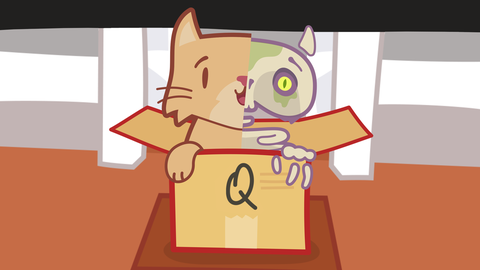Die Zeichnung zeigt eine Katze in einem Pappkarton. Die linke Hälfte der Katze sieht normal aus, die rechte zeigt nur Knochen.