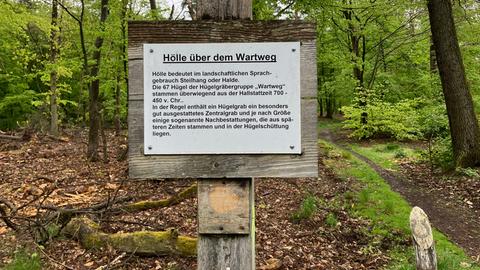 Das Bild zeigt einen Keltenhügel mit Reifenspuren im Frankfurter Stadtwald. Davor steht am rechten Bildrand ein schwarz gekleideter Spaziergänger. Er ist von hinten zu sehen.