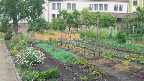 Klostergarten mit Gemüsebeeten