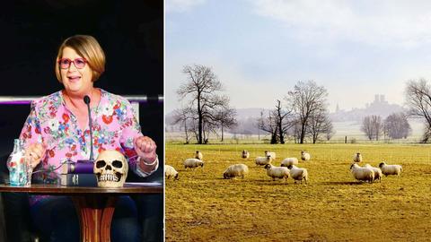 Kombination aus zwei Fotos: links Portrait Jule Heck, rechts Bild einer Wiese mit Schafen.