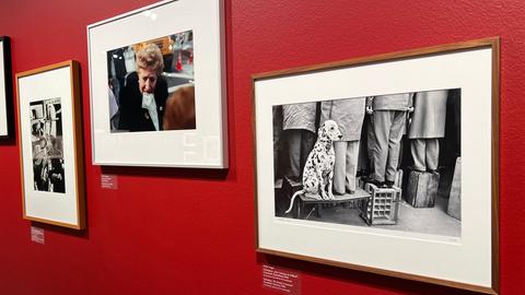 Ausstellungsansichten "Die Magie der Straße"