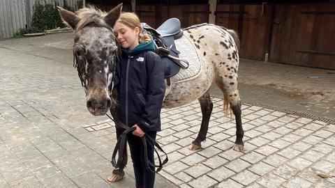 Neunjähriges Mädchen mit geflecktem Pony auf einem Reiterhof