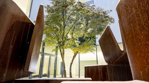 Ein Baum steht in einem Innenhof, umgeben von rostbraunen Metallelementen