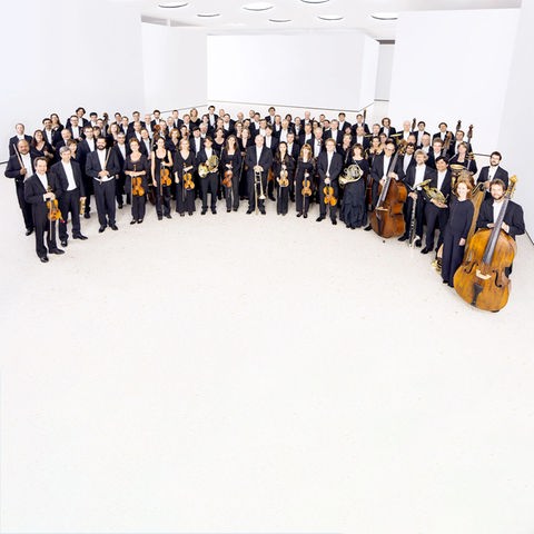 Das hr-Sinfonieorchester steht im Halbrund und posiert für die Kamera.