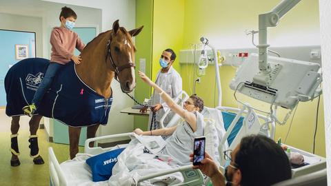 Ein Pferd steht im Krankenhauszimmer, ein Kind sitzt auf seinem Rücken, eine Frau im Bett streichelt das Pferd