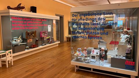 Vitrinen im Hessischen Puppen- und Spielzeugmuseum