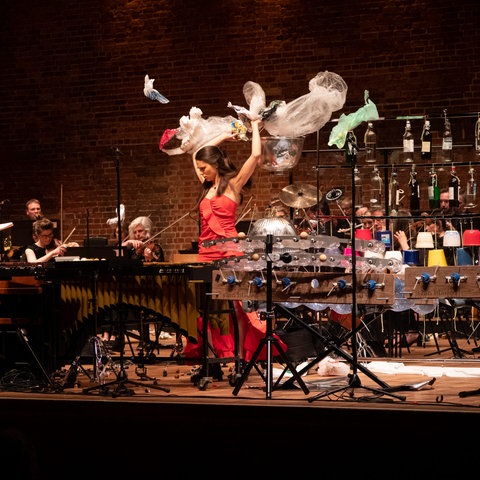 Vivi Vassileva bei einer Aufführung des "Recycling Concerto"