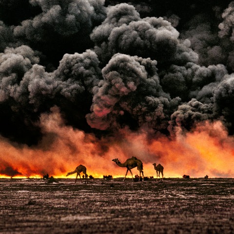 Kamele vor einer gigantischen Feuerwand