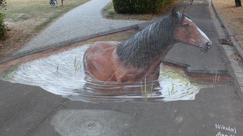 Ein dreidimensionales Pferd als Malerei auf einem Weg