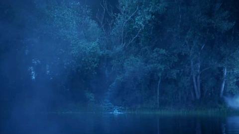 Filmstill des Drehortes "See". Blick auf das Ufer eines Sees in der Dunkelheit. Alte Bäume säumen das Ufer. In der Wasserfläche an einer Stelle ein wenig Gischt.