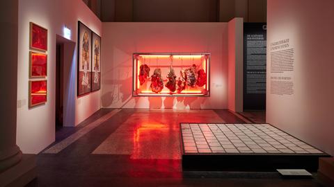 Das Bild zeigt einen Ausstellungsraum im Hessischen Landesmuseum Darmstadt. An den Wänden hängen Gemälde und in einem Glaskasten rot beleuchtete künstliche Fleischstücke an Fleischerhaken. Rechts am Bildrand ist wie auf einer Art Podest ein weiß gekachelter Fliesenboden zu sehen.