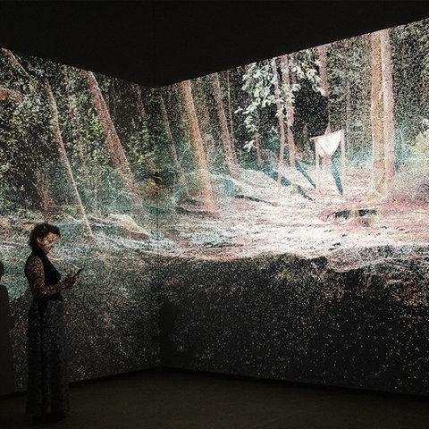 "Atmospheric Forest" - Installation von Rasa Smite und Raitis Smits