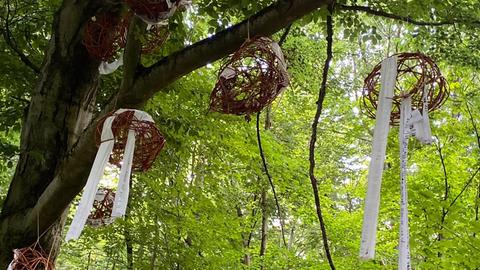 Die Arbeit "WortGeflechte" - geflochtene Kugeln hängen in einem Baum, darin hängen beschriftete Wortfahnen