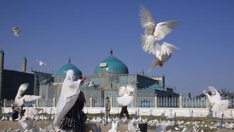 Eine verschleierte Frau umgeben von weißen Tauben, im Hintergrund eine Moschee.