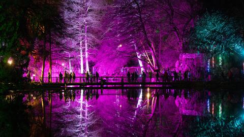 Mit bunten Lichtern erleuchteter Park