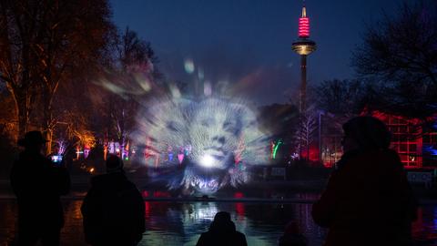 Zuschauer betrachten im Dunkeln eine Lichtskulptur in einem Brunnen.