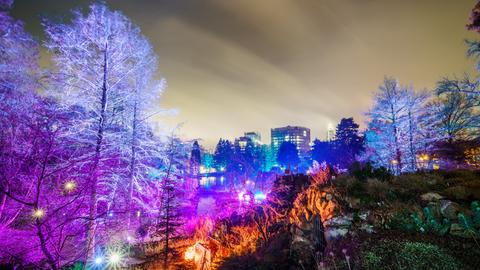 Mit bunten Lichtern erleuchteter winterlicher Park.