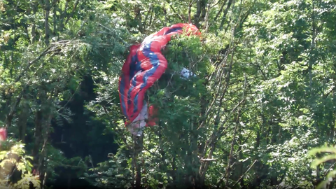 Der Gleitschrimflieger hängt in zehn Metern Höhe im Baum