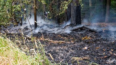 Heusenstamm Wald Brand