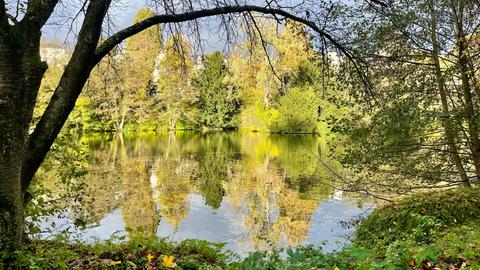 Momentaufnahme Kurpark Wiesbaden