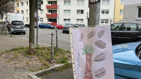 Umwelt-Plakate in Bornheim