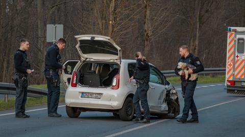 Unfall mit Hund