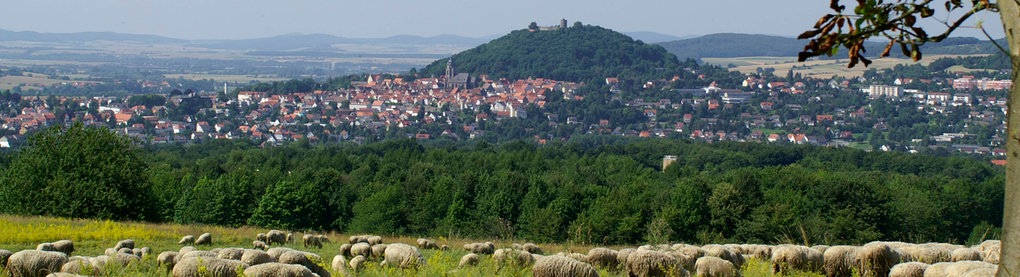 Stadtansicht Homberg Efze