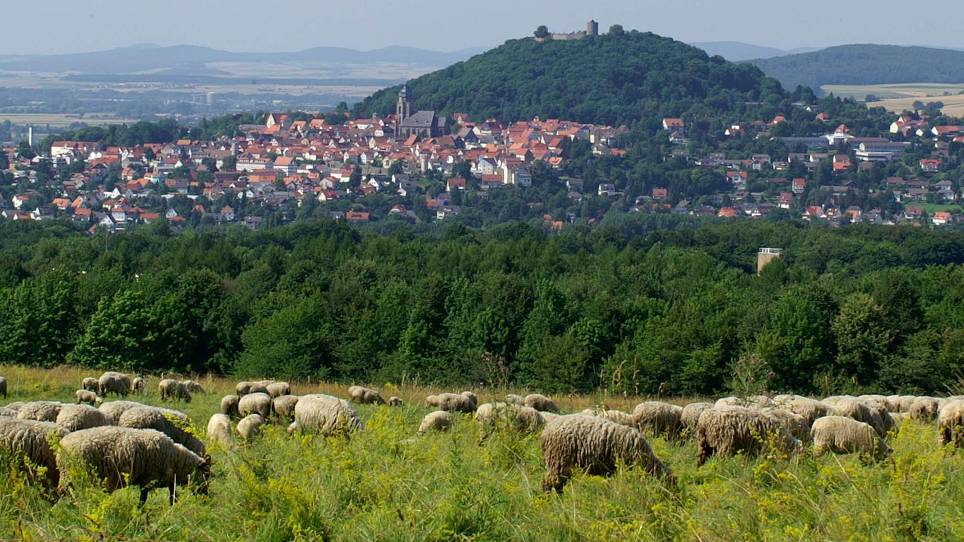 Homberg (Efze) News Aktuelle Nachrichten im Überblick hessenschau.de