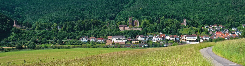 Neckarsteinach