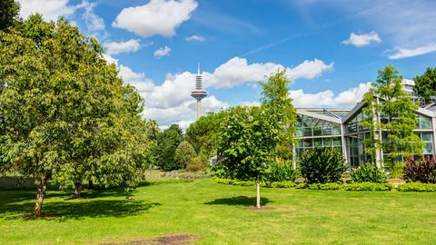 Palmengarten Frankfurt