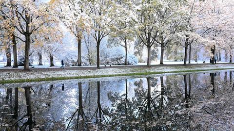 Mit Schnee bedeckte Bäume