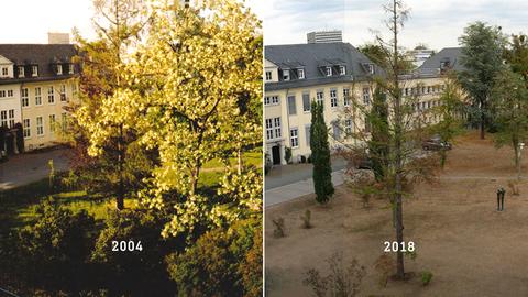 Kombo mit Gartenansicht 2004 im Vergleich zu 2018