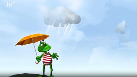 Animierter Frosch "Fridolin" im Vorspann der hr-Wettersendung "alle wetter!"