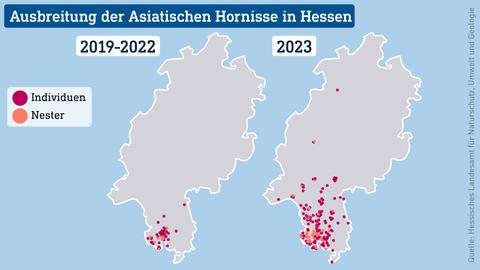 Hessen-Karte mit Angaben zur Verbreitung der Asiatischen Hornisse