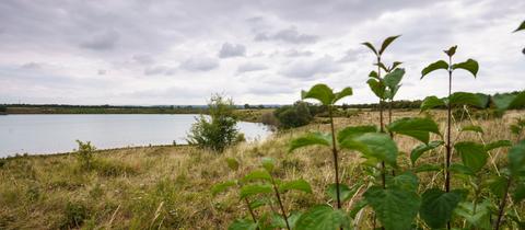 Die vermisste 14-Jährige aus Gottenheim wurde tot im hessischen Teufelsee gefunden.