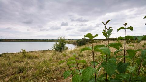 Die vermisste 14-Jährige aus Gottenheim wurde tot im hessischen Teufelsee gefunden.