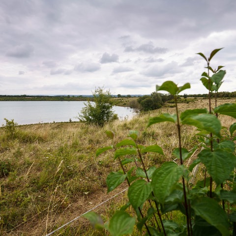 Die vermisste 14-Jährige aus Gottenheim wurde tot im hessischen Teufelsee gefunden.