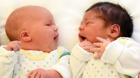 Zwei Neugeborene liegen nebeneinander.
