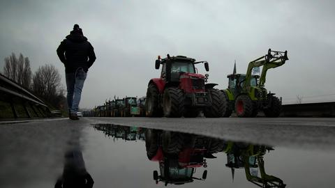 Bauernprotest (Sujetbild aus Frankreich)