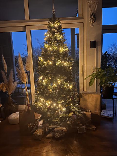 Ein Weihnachtsbaum