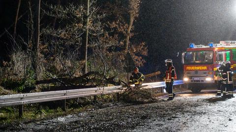 Baum auf Straße gestürzt auf B44 bei Walldorf